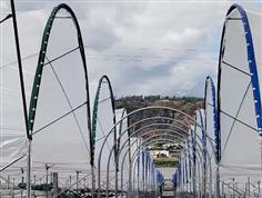 藍(lán)莓連棟大棚