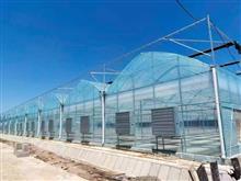 柔性日光溫室