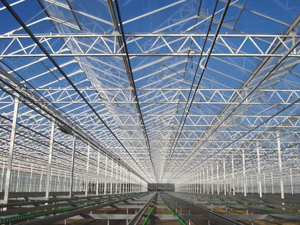 連棟大棚-連體薄膜大棚-連棟溫室