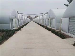 保鮮庫(kù)大棚-鋼架大棚冷庫(kù)