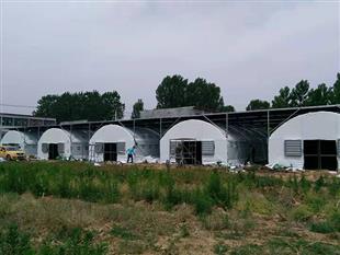 銀耳大棚-銀耳溫室大棚-包塑大棚