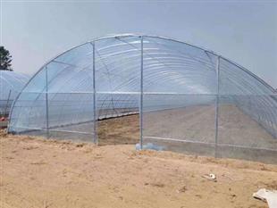 溫室大棚