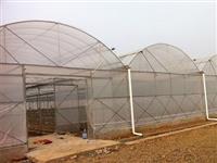 圓管插地冷棚-插地拱棚-熱鍍鋅管大棚