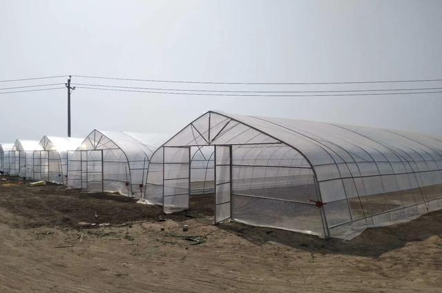 <strong>圓管插地冷棚</strong>