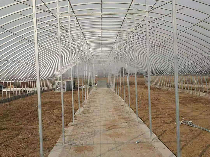 平頂山<strong>香菇大棚</strong>安裝現(xiàn)場