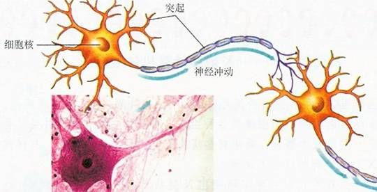 三中網安：chatgpt爆火出圈帶來的ai網絡安全的思考1